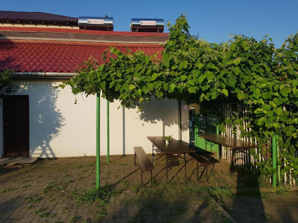 Vila Orizont Venus Exteriör bild