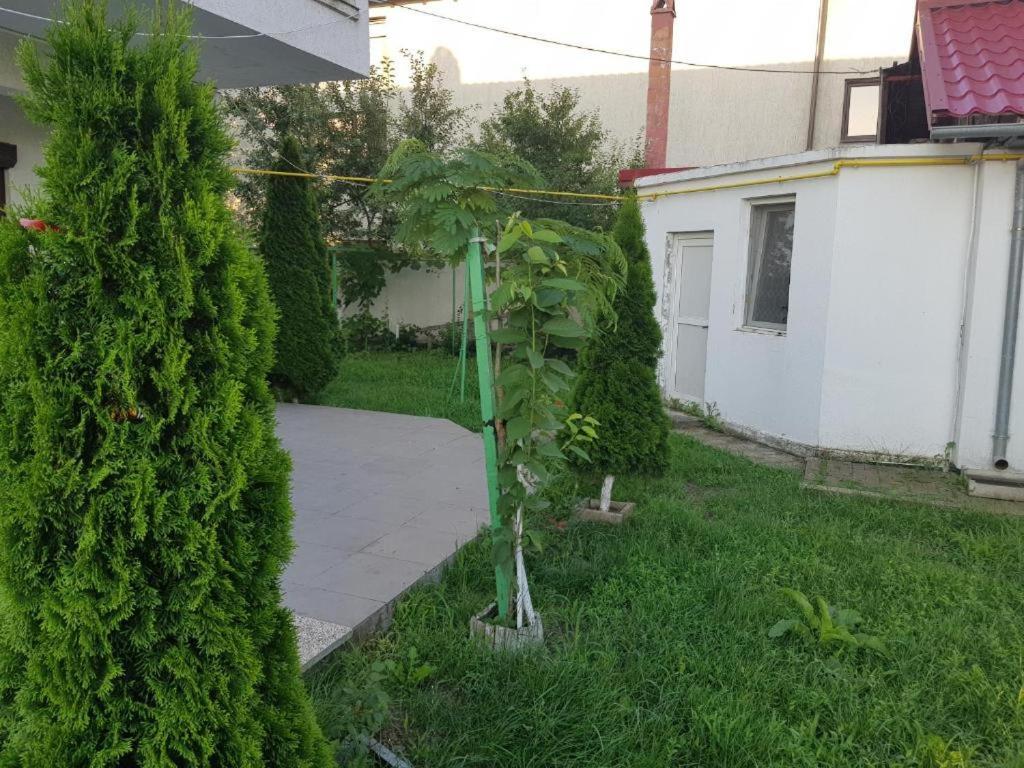 Vila Orizont Venus Exteriör bild
